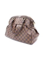 Louis vuitton damier canvas trevi pm bag online